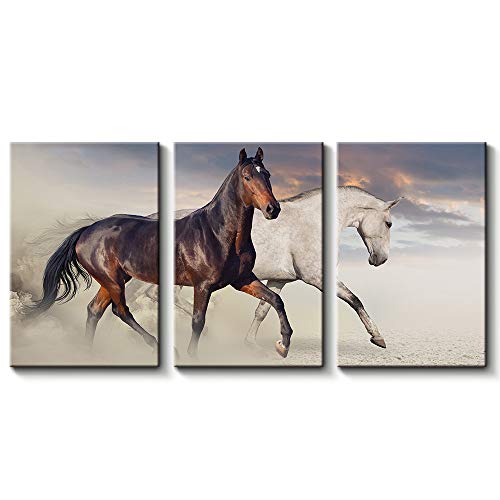 3 Pc Black & White Horse Wall Décor Photo Tiles